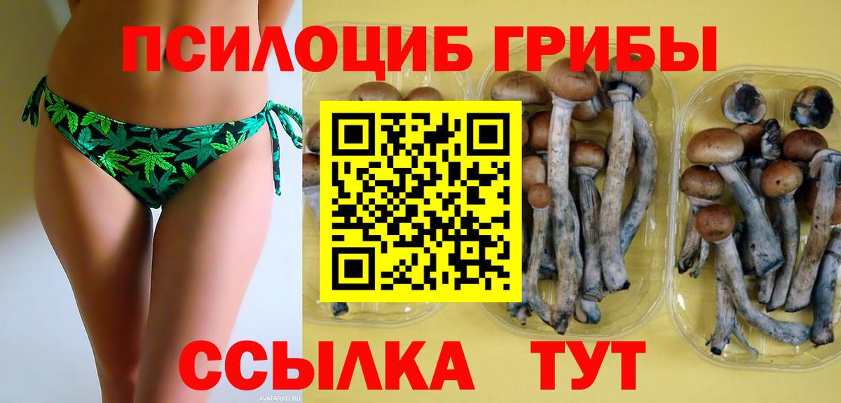 Баксан  Галлюциногенные грибы Psilocybe  наркошоп  Псилоцибиновые грибы Psilocybe  Вход с VPN 