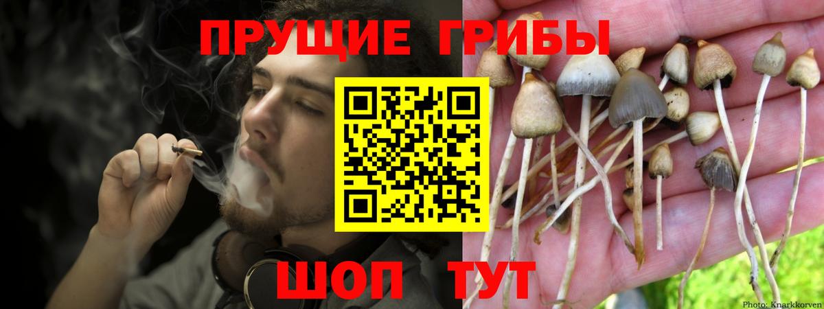 Псилоцибиновые грибы мицелий Баксан